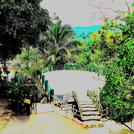 Rainforest Lodge, Deniyaya Singheraja Buitenkant foto