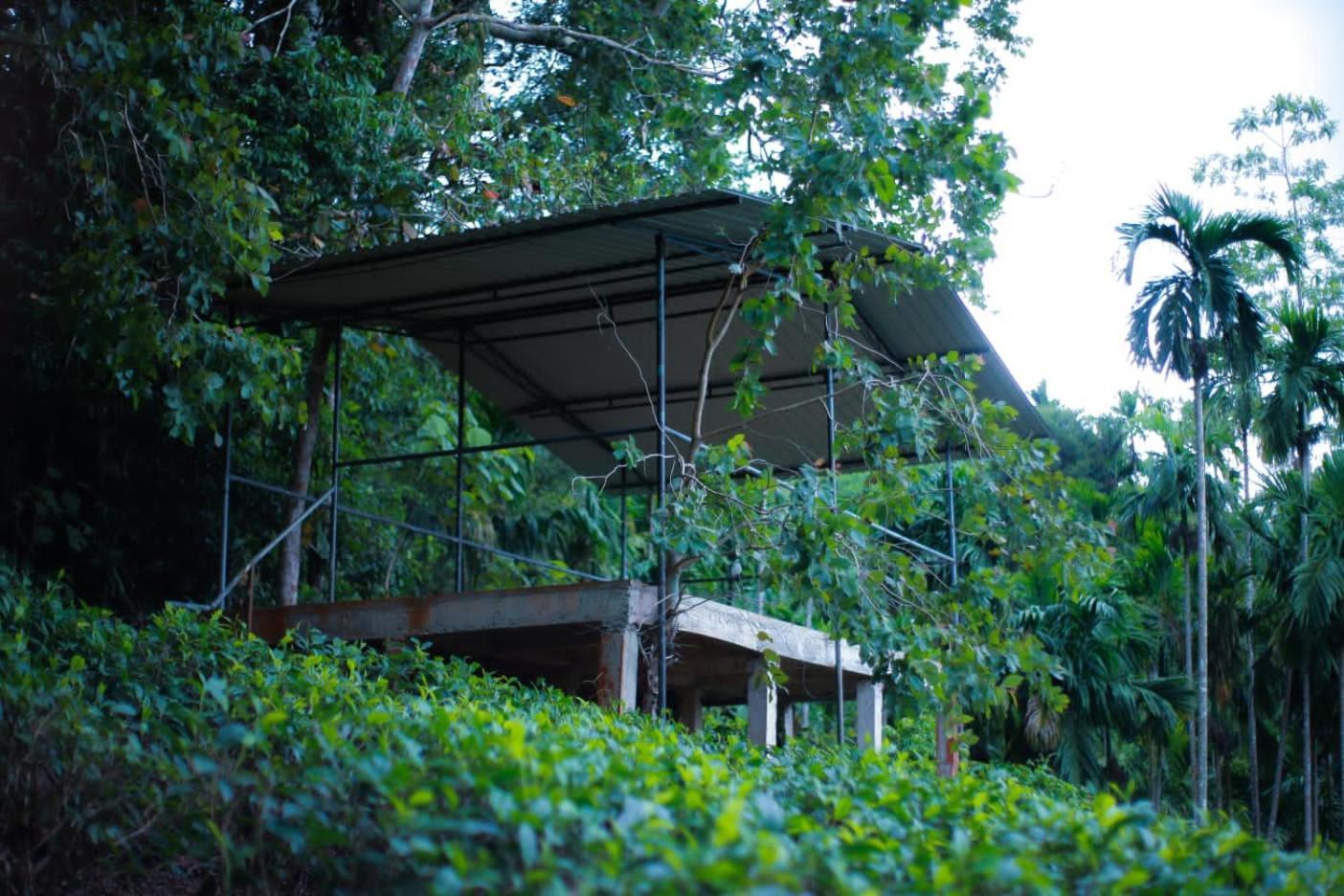 Rainforest Lodge, Deniyaya Singheraja Buitenkant foto