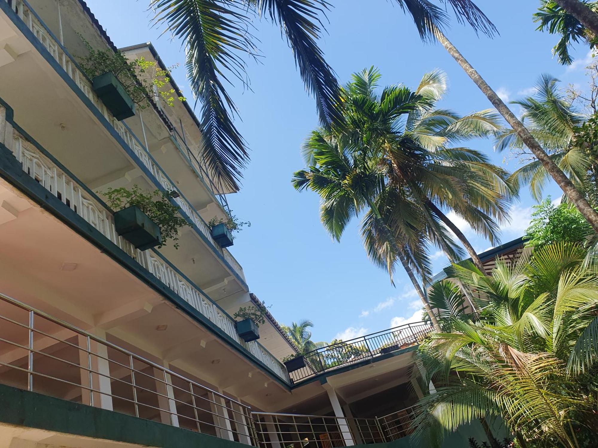 Rainforest Lodge, Deniyaya Singheraja Buitenkant foto