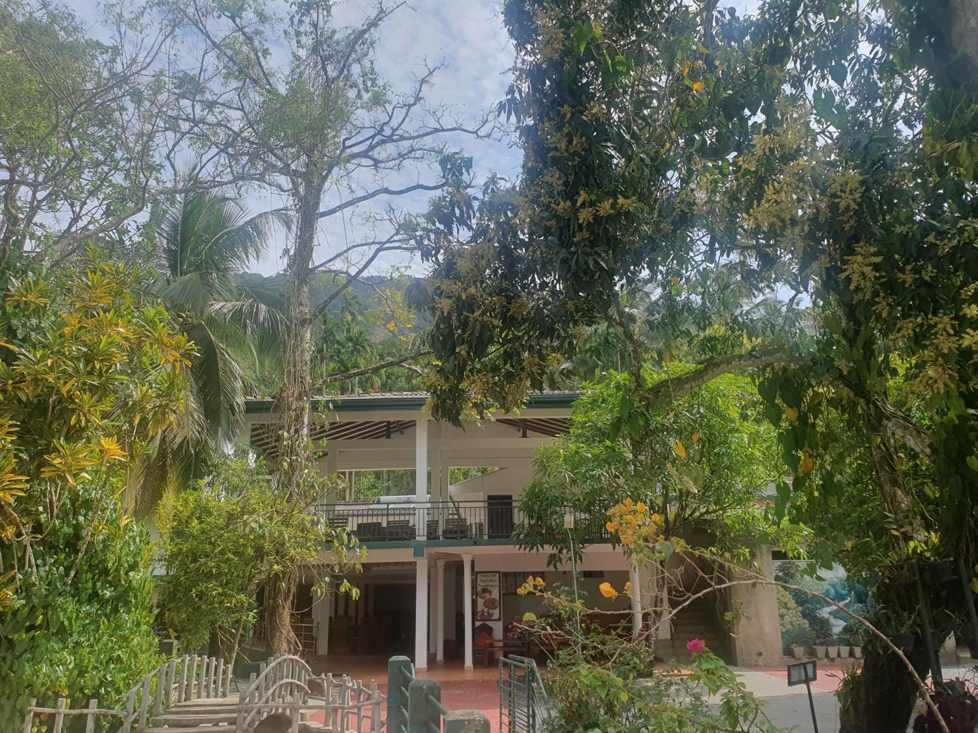 Rainforest Lodge, Deniyaya Singheraja Buitenkant foto