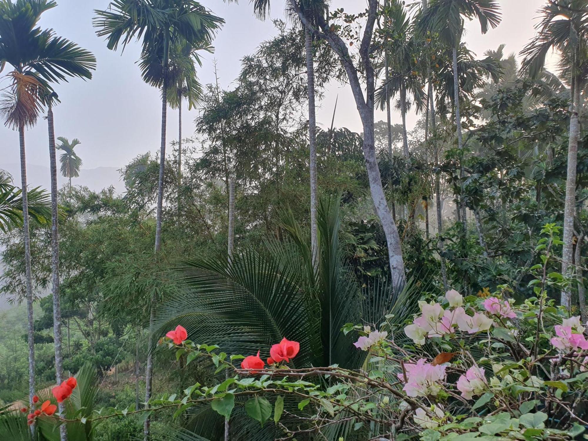 Rainforest Lodge, Deniyaya Singheraja Buitenkant foto