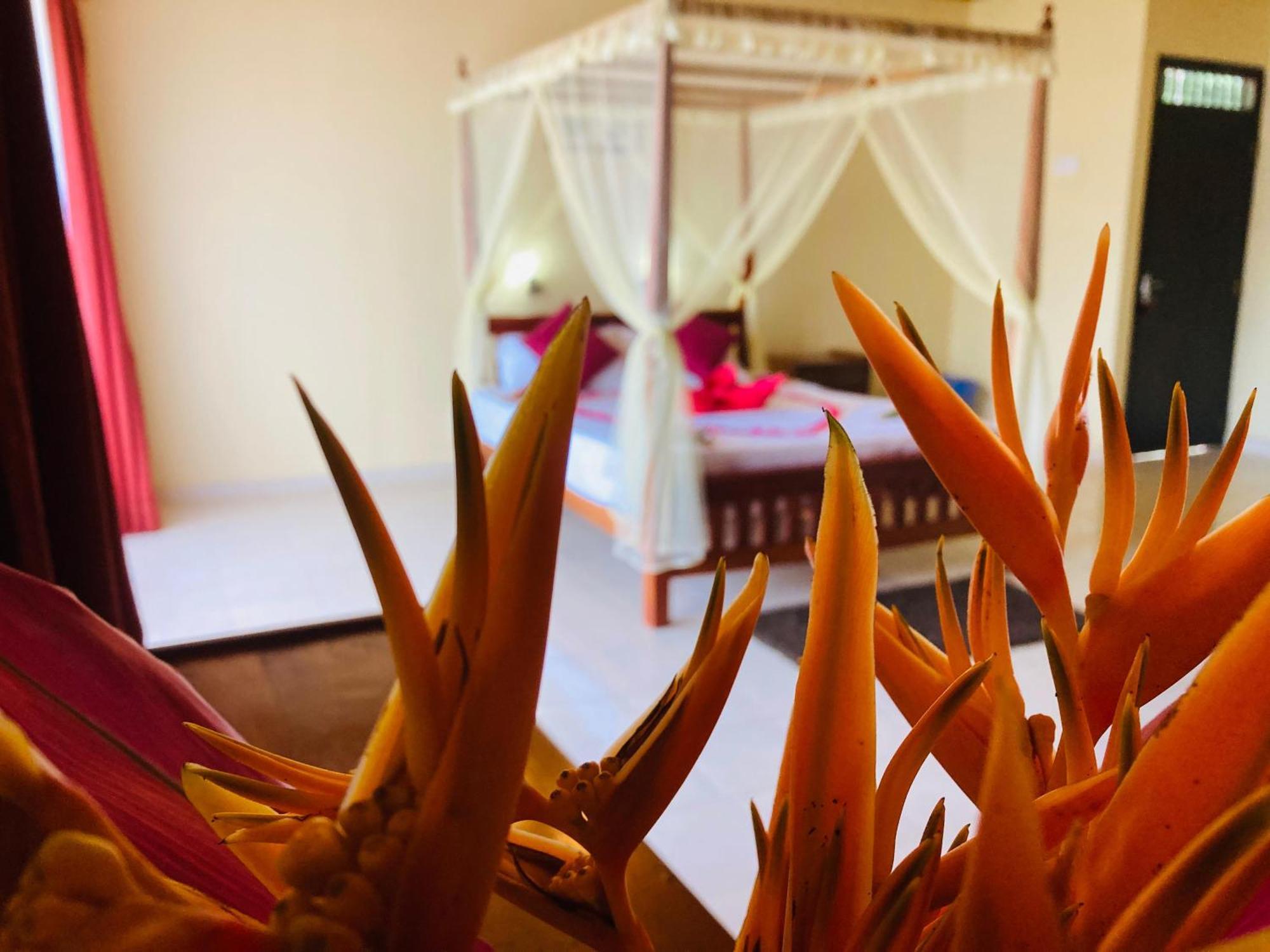 Rainforest Lodge, Deniyaya Singheraja Buitenkant foto