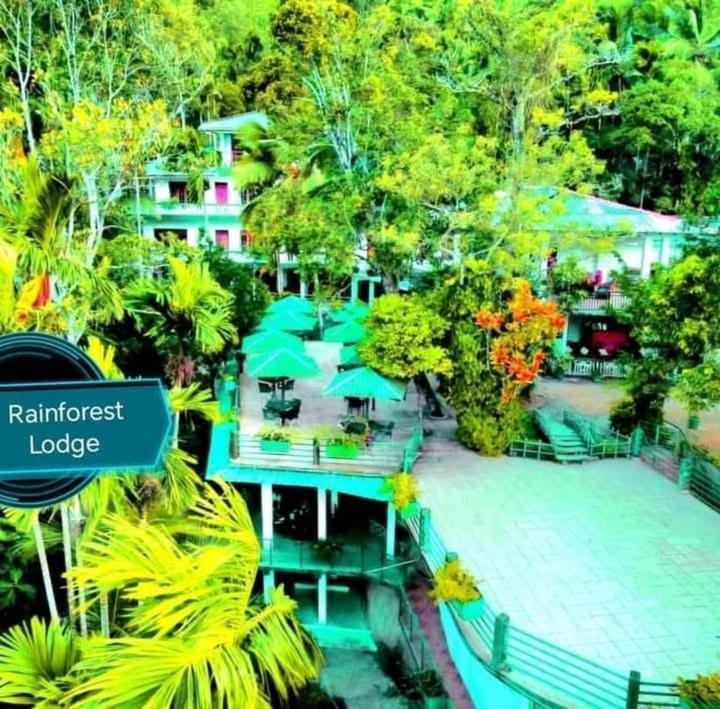 Rainforest Lodge, Deniyaya Singheraja Buitenkant foto
